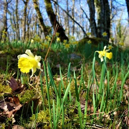 A L'epicerie Caniac-du-Causse