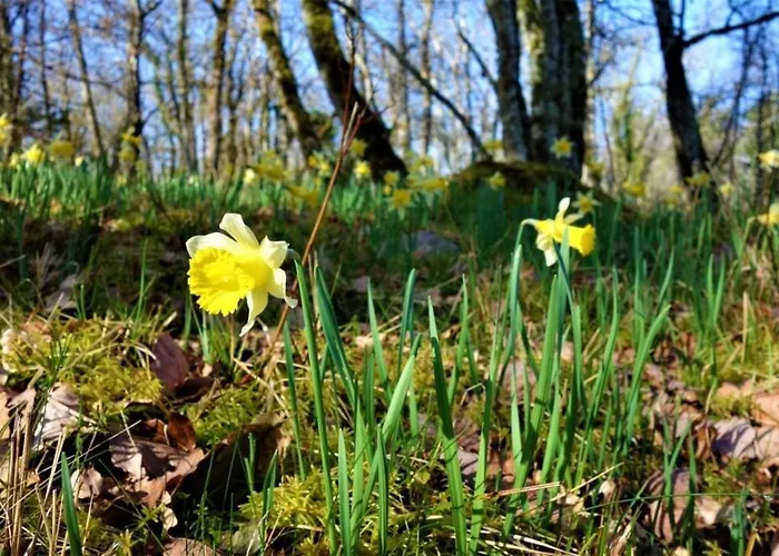 A L'epicerie Caniac-du-Causse